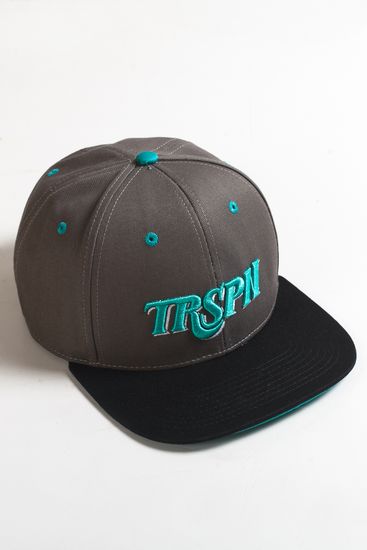 Бейсболка TRUESPIN Typo Team (Серый (Grey/Black)