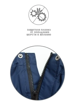 Комбинезон дождевик для собак французский бульдог