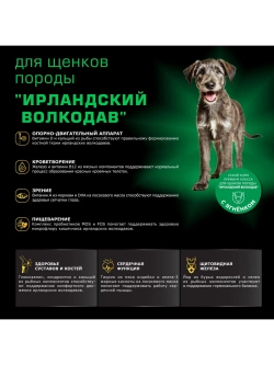 Корм для щенков Ирландский волкодав, ягненок, 12 кг