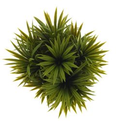 GAEM Цветочная композиция, L15 W15 H18 см