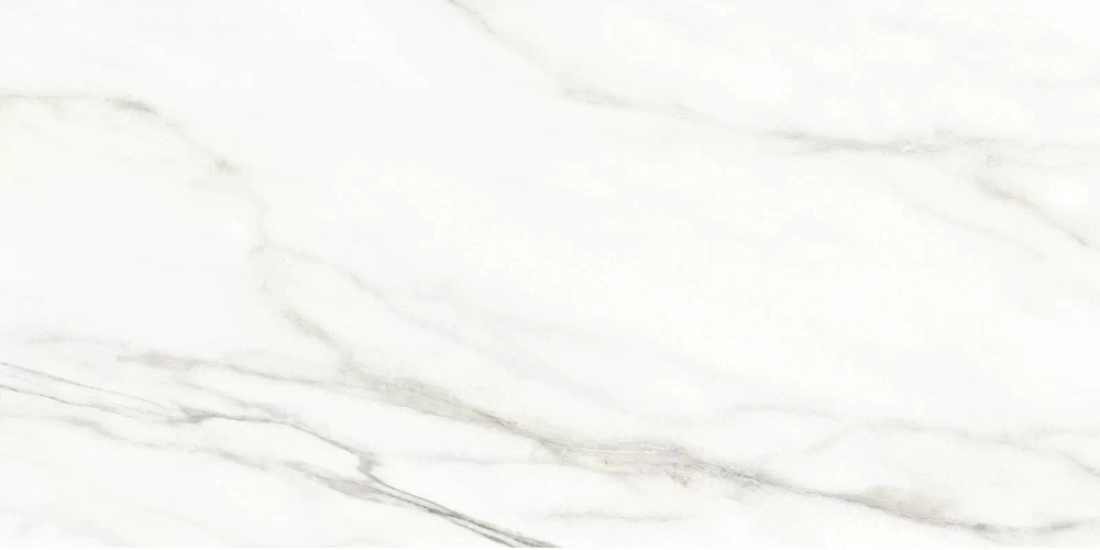 Настенная плитка Alma Ceramica TWU2550EPH04 Euphoria 24.9x50 белая матовая под мрамор