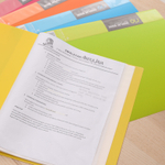 Папка с файлами DELI "Rio" на 20 вкладышей, ассорти