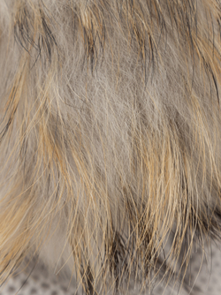 INVERNI шапка - серый