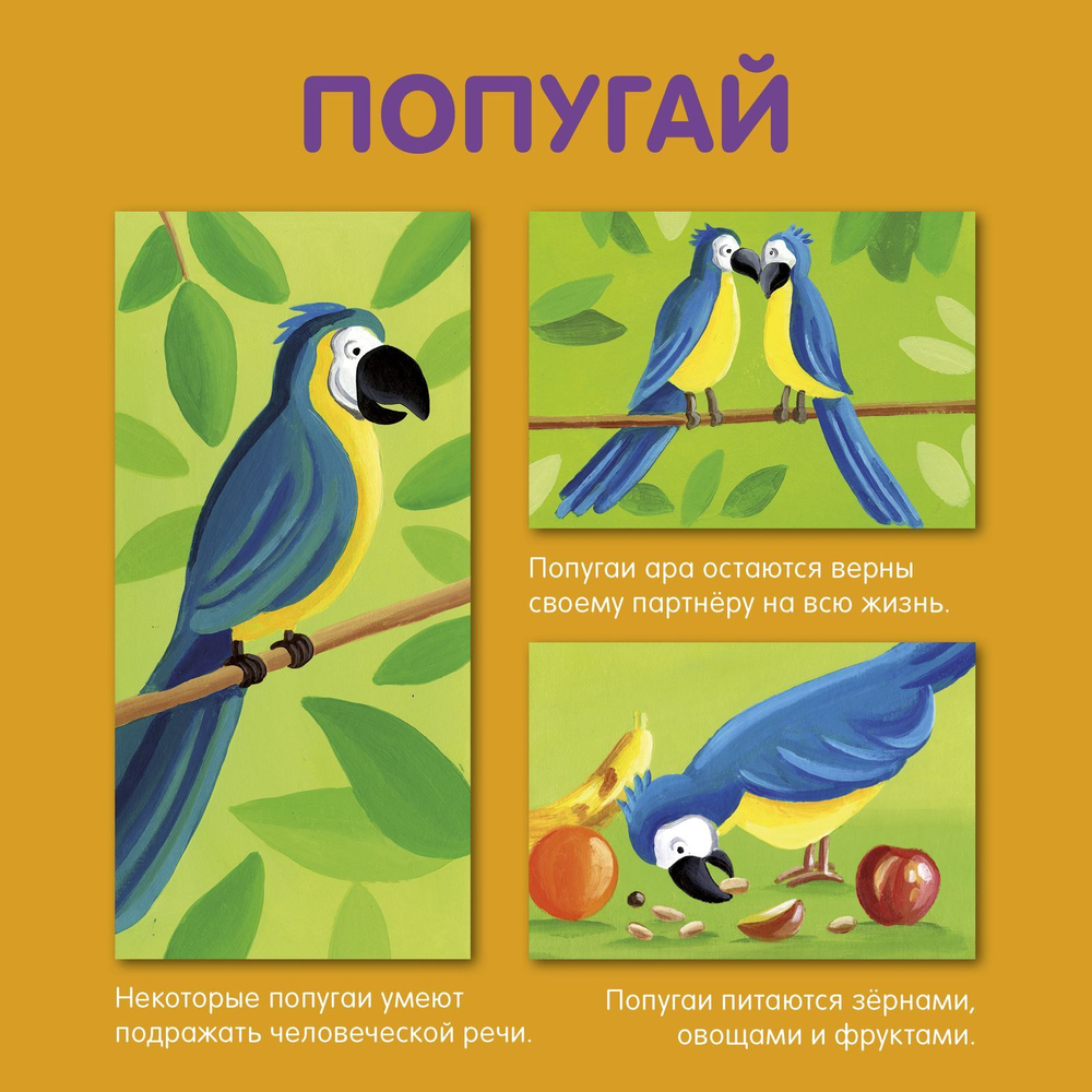 Мои домашние животные