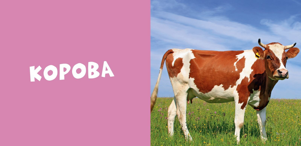 Мои первые слова. Фото-книга. Животные МИНИ (нов.)