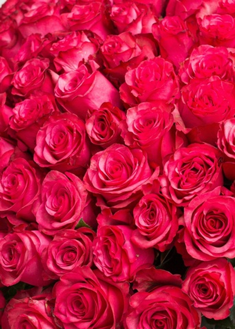 Букет из розовых роз #101