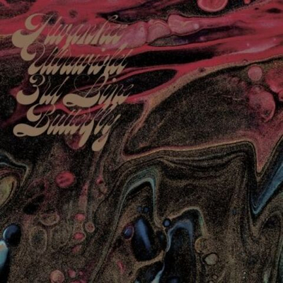 Альбом 3RD LINE BUTTERFLY - OUTSIDE OF JOYOUS PURPLE