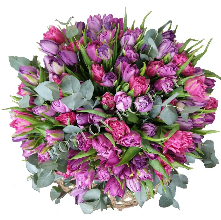 Сиренево-фиолетовый микс из пионовидных тюльпанов