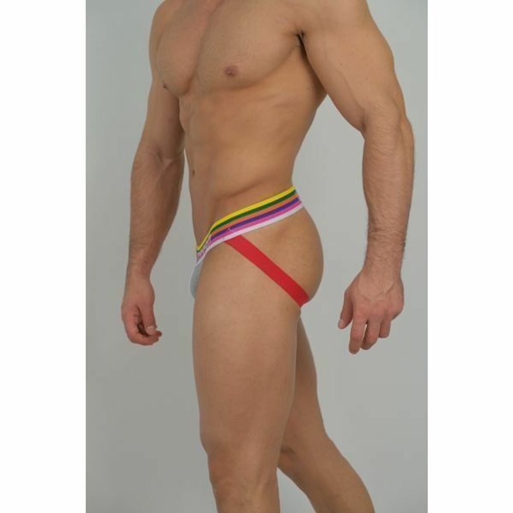 Мужские джоки серые Van Baam VB-43614