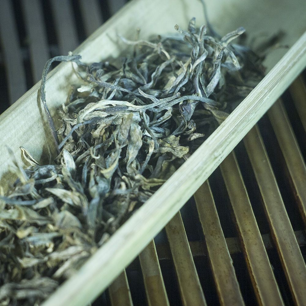 Шэн пуэр ранневесенний из Мэнсун, урожай 2022 г