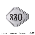 Номерок на дверь квартиры 220, для кабинета, офиса, шильдик 9 х 7 см, серебристый, Айдентика Технолоджи