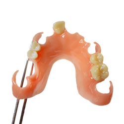 Dental Denture Base Soft