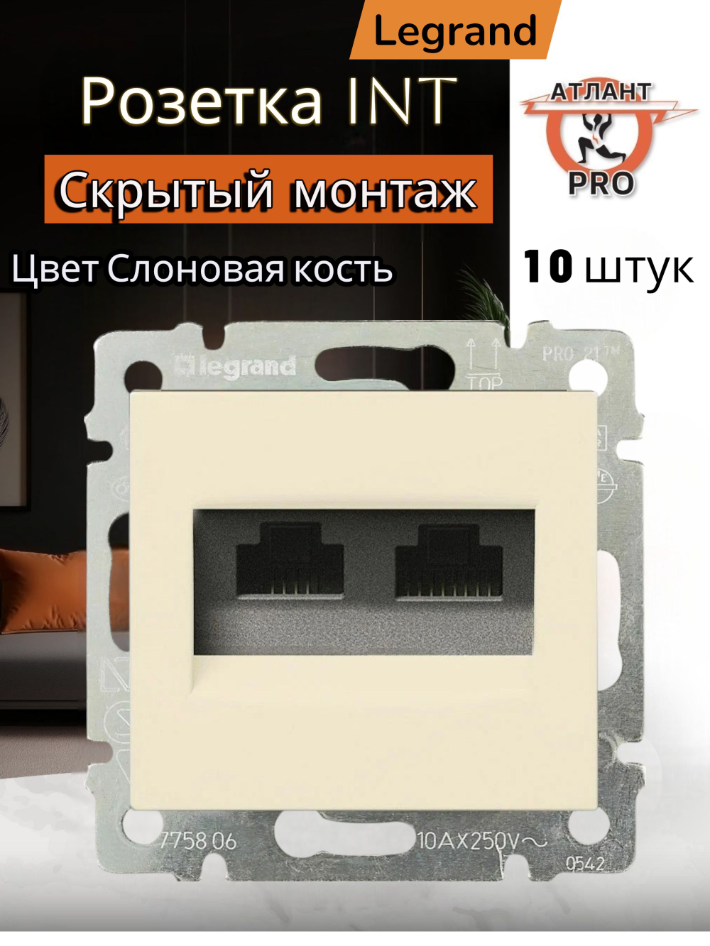 4131/4231 Розетка INT 2 10 шт слоновая кость