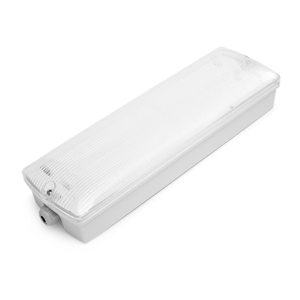 Светильник LED аварийный ДБО03-4-052-6К с БАП EM3 4,5Вт 6500К IP65 Прозрачный 184лм 352х110х68мм ОРИЕНТИР WOLTA PRO