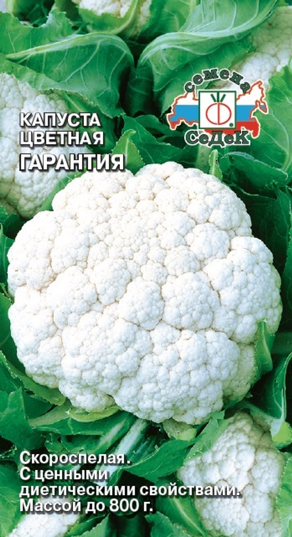 капуста Гарантия
