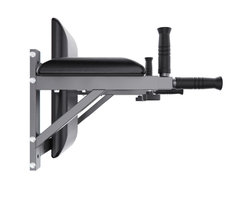 Брусья настенные DFC Homegym G294