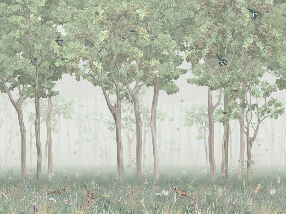 Коллекция Aurora