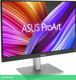 Монитор Asus ProArt PA248CNV черный (90LM05K1-B03370)