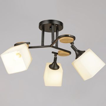 04217-0.3-03 BK светильник потолочный