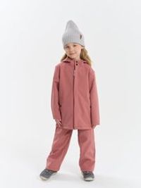 Брюки Softshell демисезонные "Пепельная роза"