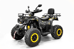 Квадроцикл бензиновый MOTAX GRIZLIK T 200 LUX