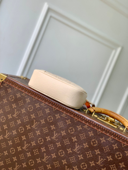 Louis Vuitton Tiny Camera Bag