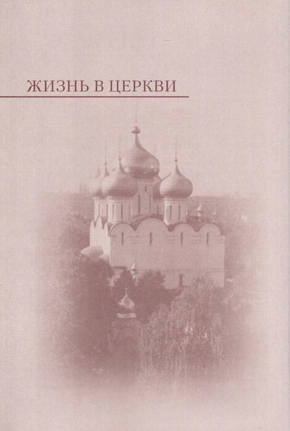 Жизнь в Церкви. Митрополит Крутицкий и Коломенский Ювеналий