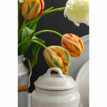 Банка для хранения in the village, 1,3 л, светло-бежевая