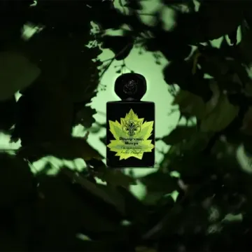 Lorenzo Pazzaglia Dangerous Maryx