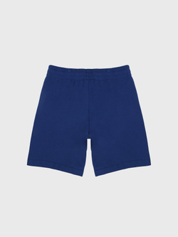 Шорты Calvin Klein Archive Logo Fleece Blue Jean