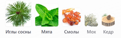 Pineward Boreal 32 мл