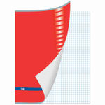 Тетрадь общая BRAUBERG "Inday", А4, 96 листов в клетку, на скрепке