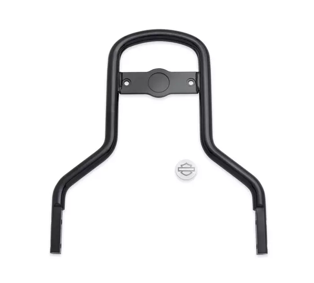 54256-10 Спинка пассажира Harley-Davidson®