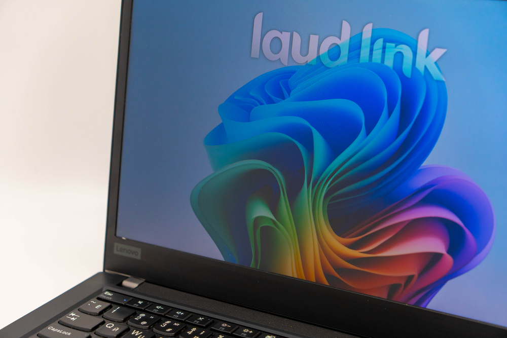 Ноутбук Lenovo ThinkPad T14 Gen 1 ( i5-10310U )