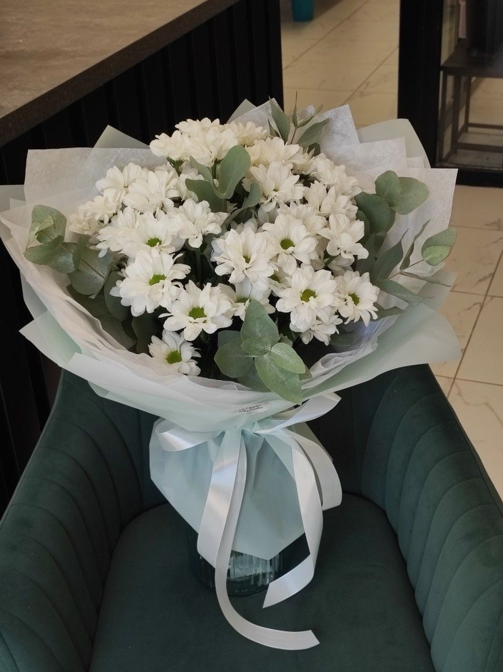 5 веточек Бакарди ,эвкалипт