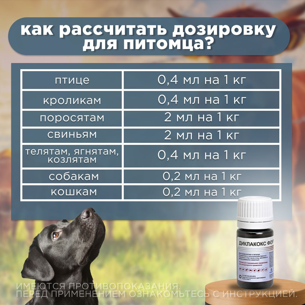 Диклакокс, 10шт по 10мл в упаковке, высокоэффективный комплексный кокцидиостатик