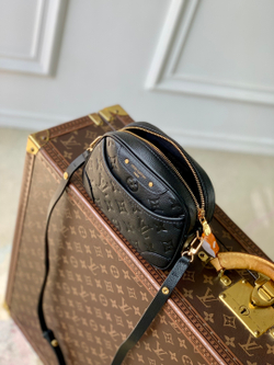 Louis Vuitton Tiny Camera Bag