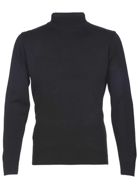 Мужская водолазка STATMEN