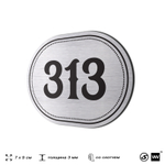 Номерок на дверь квартиры 313, для кабинета, офиса, шильдик 9 х 7 см, брашированная сталь, Айдентика Технолоджи
