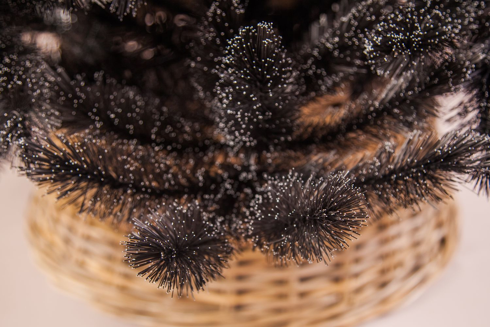 Пихта Прелестная 215см черная Triumph Tree