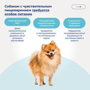 Сухой монопротеиновый корм Jarvi для взрослых собак мелких пород с чувствительным пищеварением, телятина