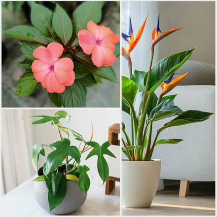 Собственное производство