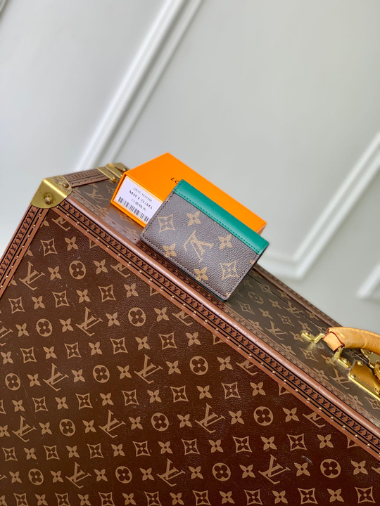 Louis Vuitton Pocket Organizer