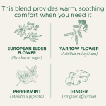 Traditional Medicinals, Herbal Cold Care, органическое средство от простуды, цветки бузины со специями, без кофеина, 16 чайных пакетиков в индивидуальной упаковке, по 1,75 г (0,6 унции) каждый