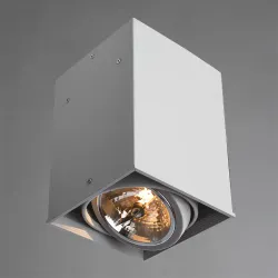 Точечный накладной светильник Arte Lamp