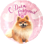Фольгированный шар «С днем рождения. Шпиц», 46 см