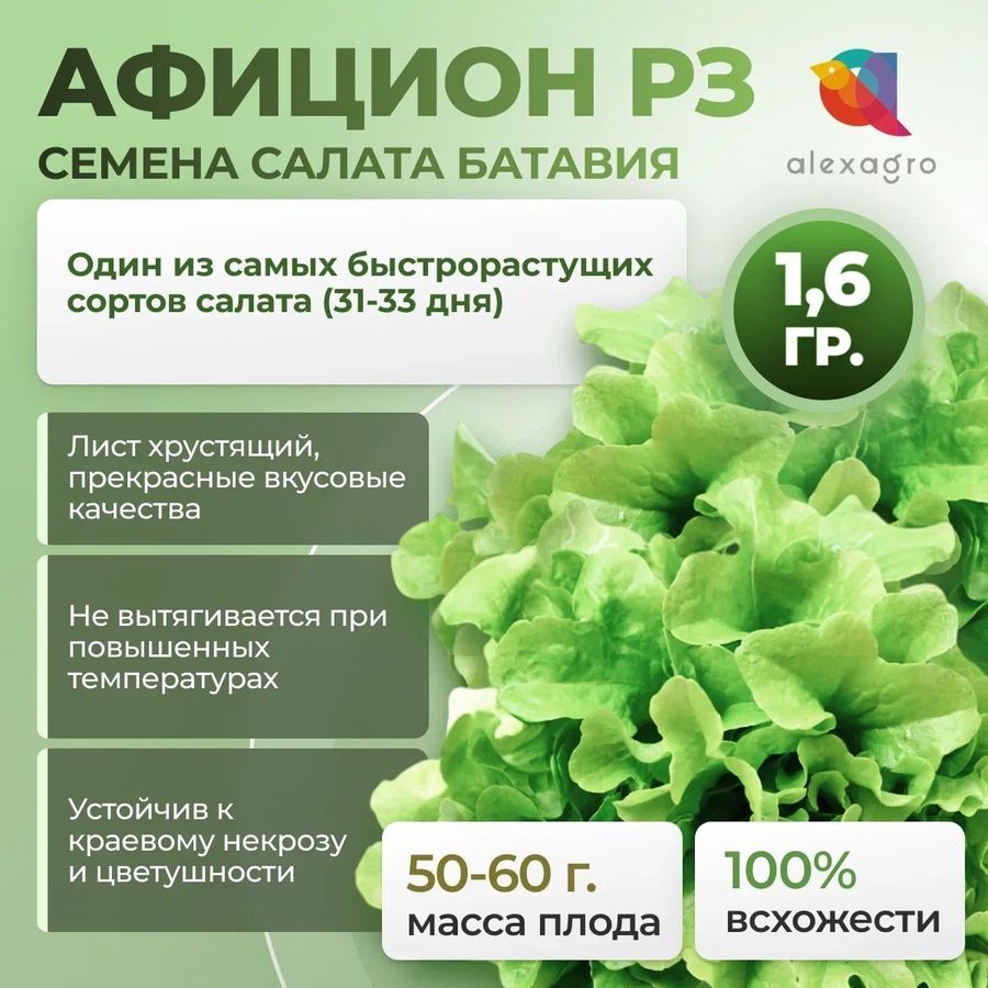 Рентабельный тепличный бизнес с салатом Афицион РЗ от Rijk Zwaan