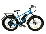 Электрофэтбайк Elbike Phantom Elite (Зеленый)