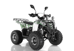 AVANTIS C200 2020г (А) Lux (Осенний камуфляж)
