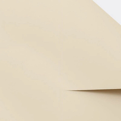 Пленка КОРЕЯ 58*10м*70мкм СВЕТЛАЯ №2